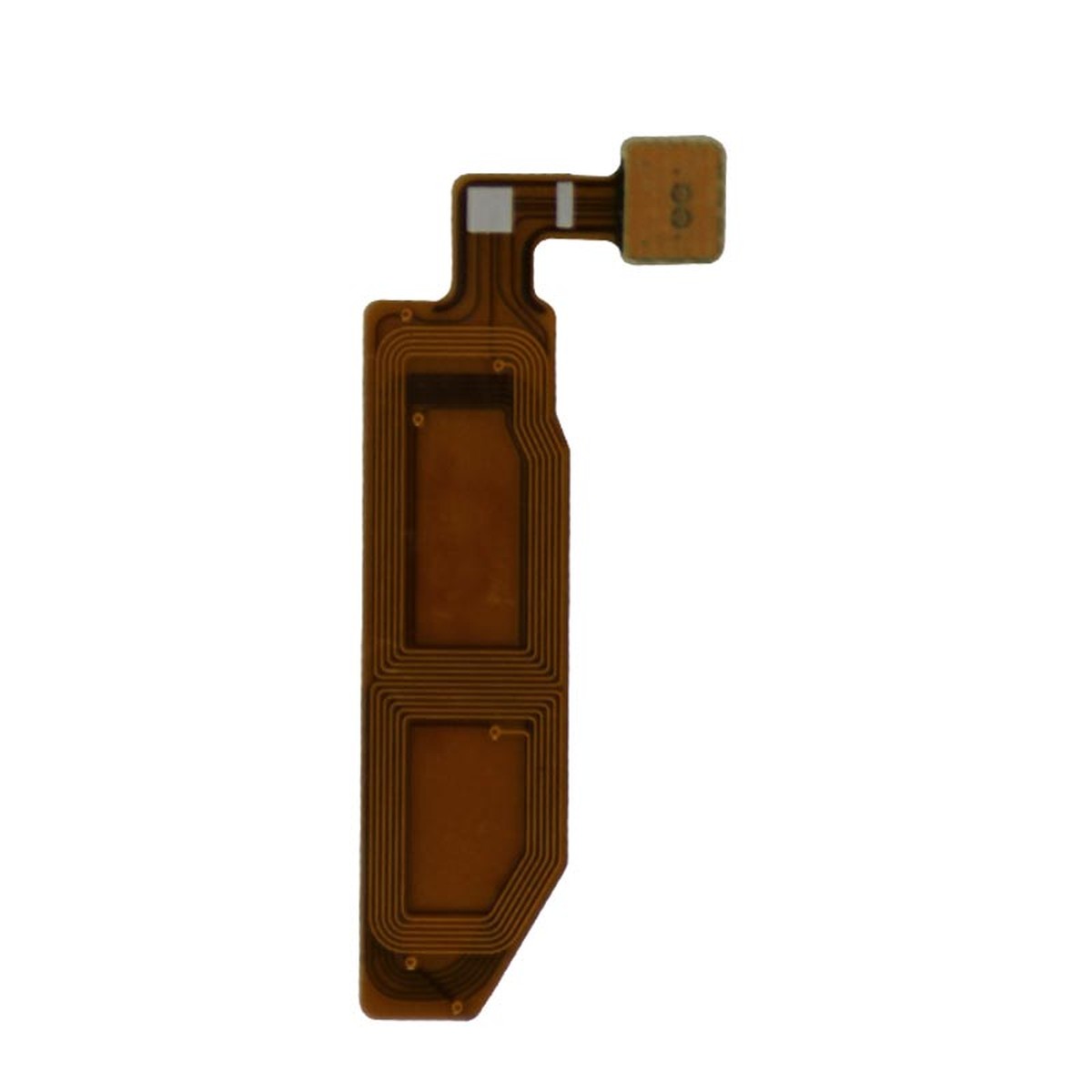 Flex de encendido para Galaxy Note 10 Plus / 5G (N975)